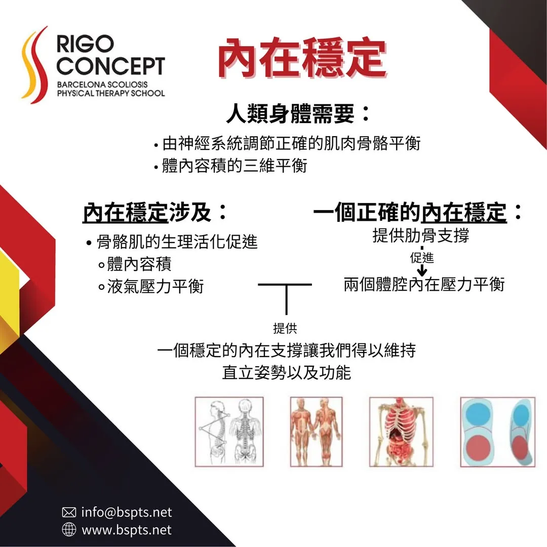 圖卡：內在穩定——人體需要由神經系統調節的肌肉骨骼平衡與體內容積的三維平衡；正確的內在穩定由肋骨支撐促進兩個體腔內壓力平衡，提供維持直立姿勢與功能的內在支撐，附解剖與體腔示意圖